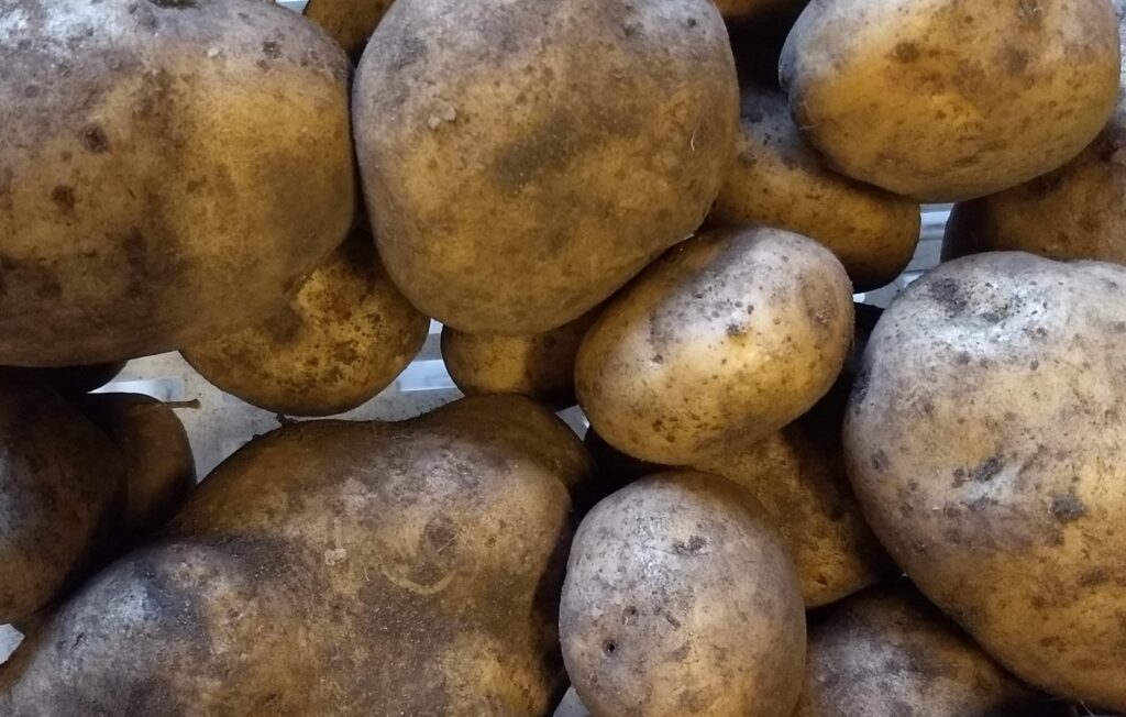 Potatoes