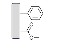 Polar RP Methylester