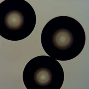 Polymer-supported Base